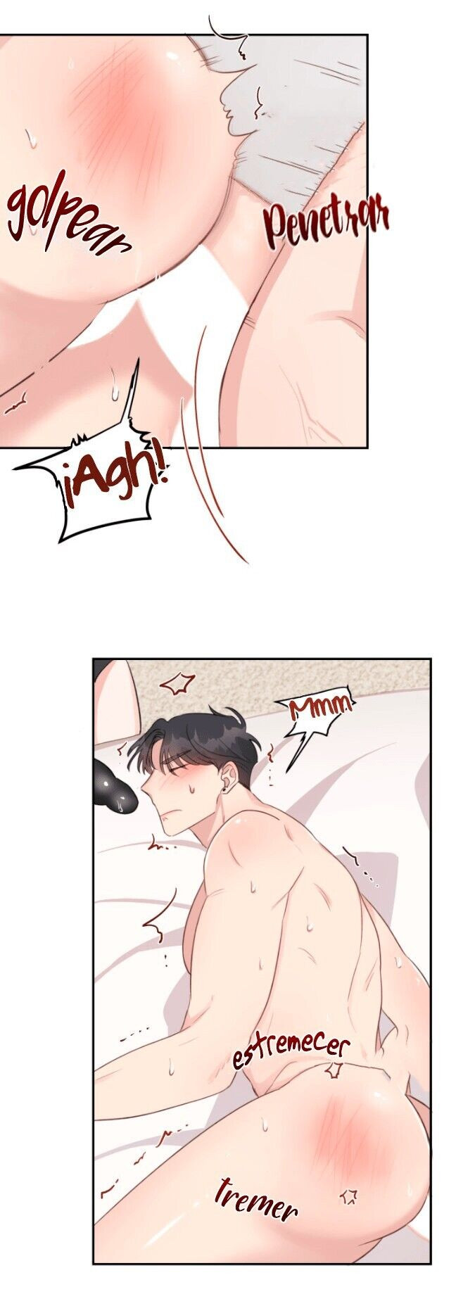 Lady’s Secret Private Life Capitulo 11 - pagina 14
