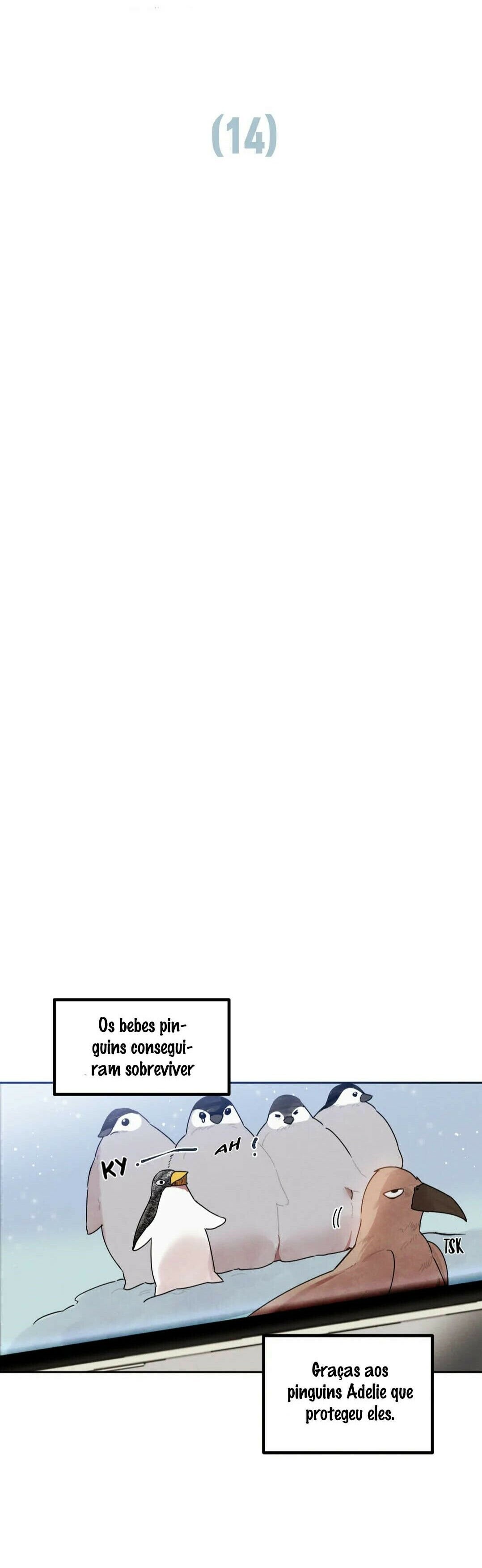 Security and Reliability Capitulo 14 - pagina 6